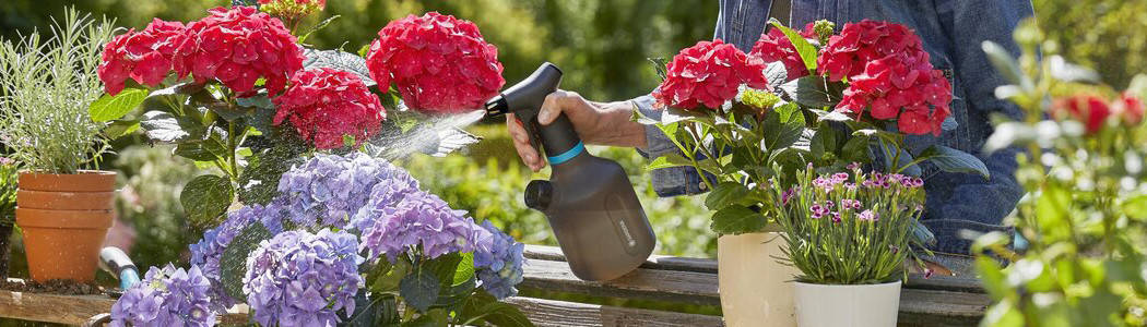Manual sprayers