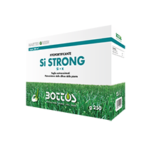 Bioinductor Bottos Si-STRONG