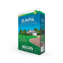 Olimpia seeds from Bottos