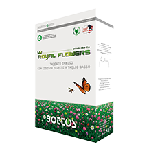 Sementi Royal Blue della Bottos