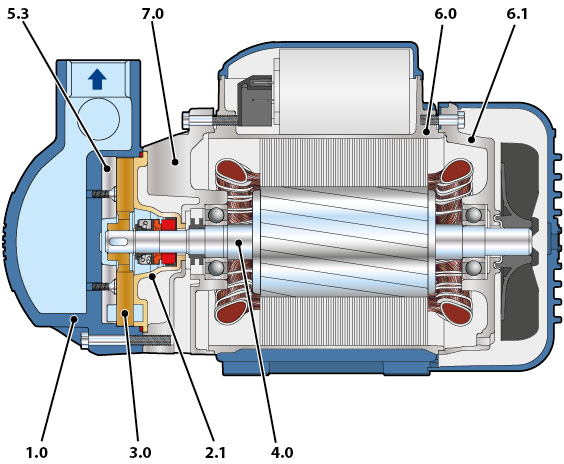 CKR pump cutaway