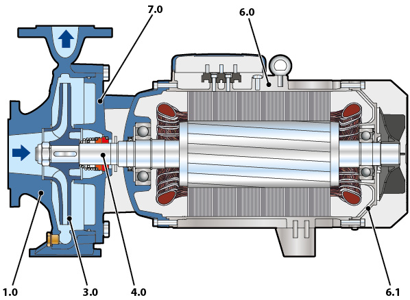 Cutaway of F pumps