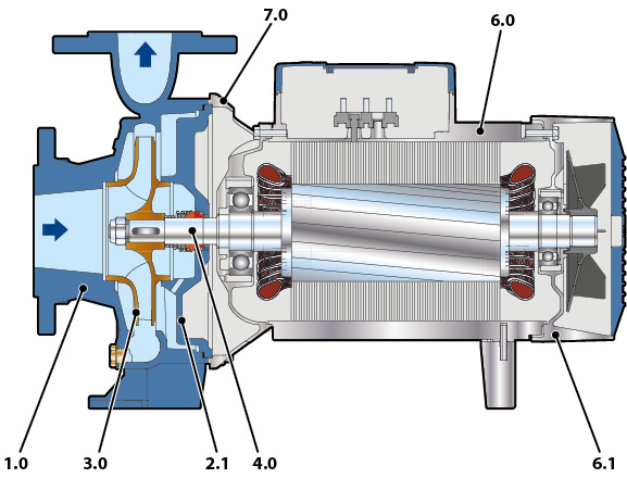 Cutaway of F pumps