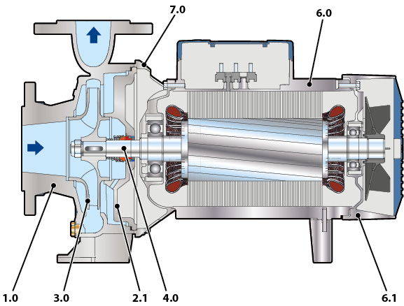 Cutaway of F Inox pumps