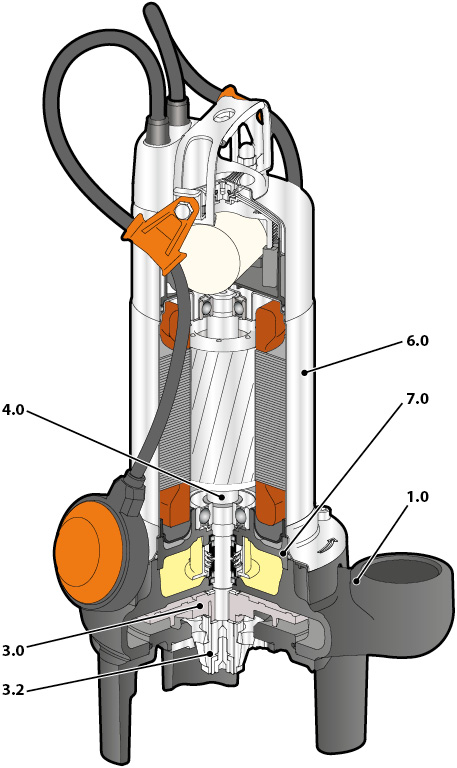 Cross section Tritus