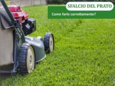 Tondre la pelouse : comment le faire correctement.