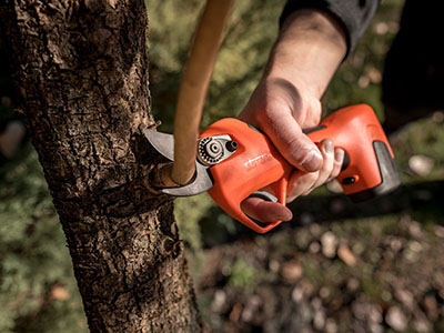 Leitfaden für batteriebetriebene Gartenscheren