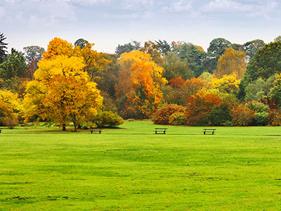 Calendario Verde para octubre de 2025