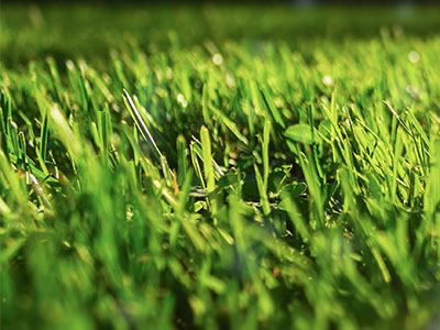 Calendario verde di marzo 2026