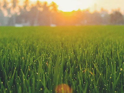 Calendarul verde pentru aprilie 2026