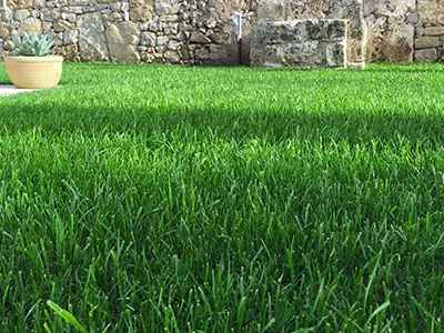 Calendario verde di maggio 2026